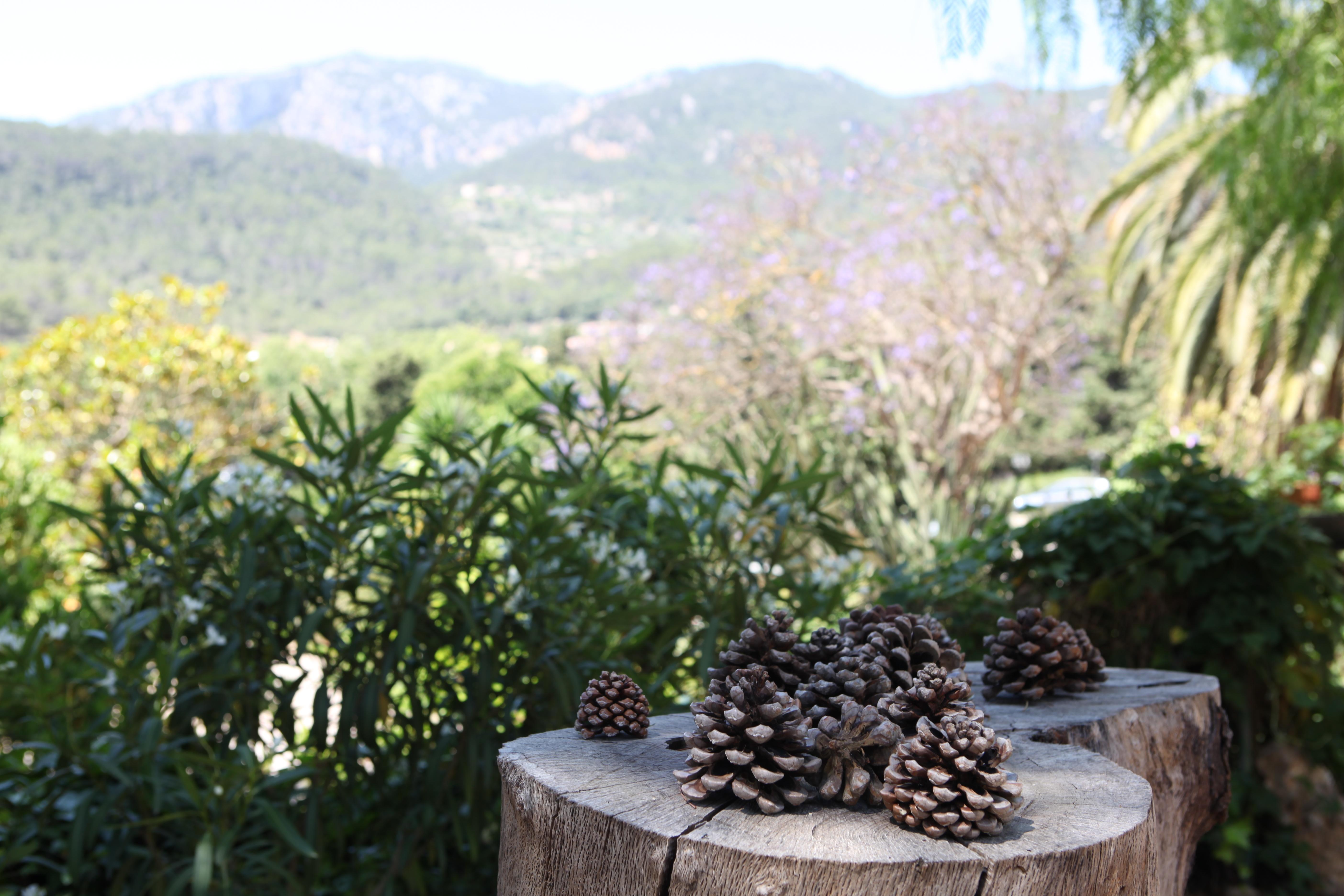 Agroturismo Son Galceran (Adults Only) เอสปอร์เลส ภายนอก รูปภาพ
